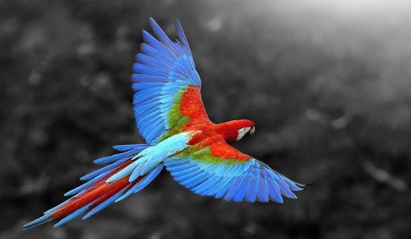 ColorsTN 900x540 1 آسان‌سازان زیبایی شناسی چیست؟ طراحی در مقابل تزئینات