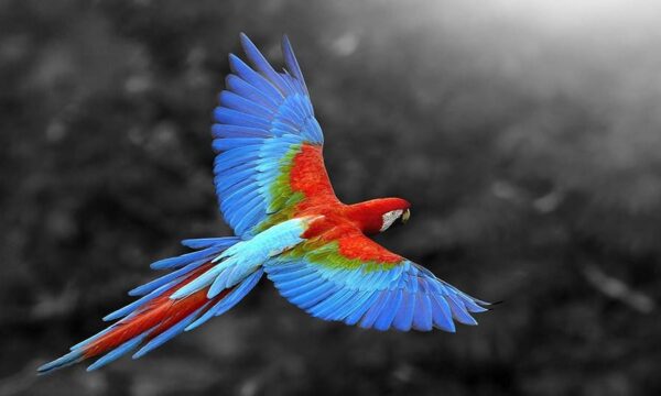 زیبایی شناسی چیست؟ طراحی در مقابل تزئینات ColorsTN 900x540 1 آسان: باشگاه طراحی و پرورش محصول زیبایی شناسی چیست؟ طراحی در مقابل تزئینات