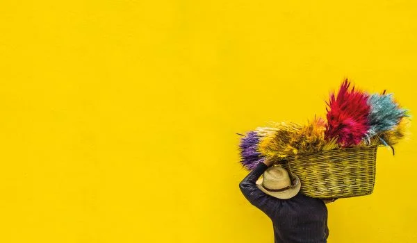 رنگ در تمامی ابعاد زندگی ما جاریست