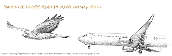 طراحی با الهام از طبیعت