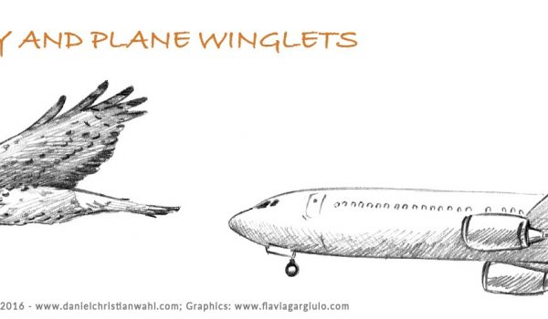 طراحی با الهام از طبیعت