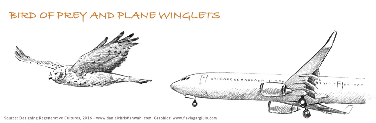 طبیعت و دیزاین: طراحی محصول با الهام از طبیعت 🌿 طراحی با الهام از طبیعت