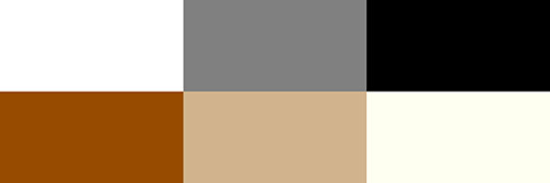 neutral colors آسان‌سازان چرخه رنگ چیست و چطور ازآن استفاده کنیم؟ | Color wheel