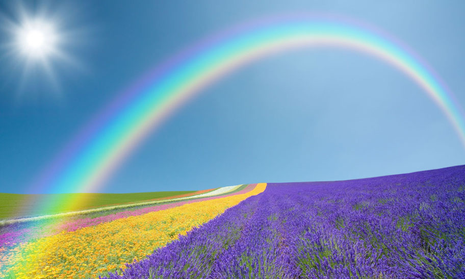 چرخه رنگrainbow آسان‌سازان چرخه رنگ چیست و چطور ازآن استفاده کنیم؟ | Color wheel