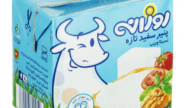 هویت بصری برند روزانه 4