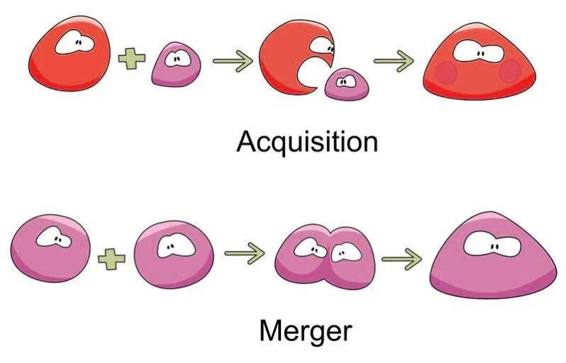 acquisition merger ادغام آسان‌سازان استراتژی "ادغام و اکتساب" کسب‌وکار و محصولات (Acquisition & Merger)
