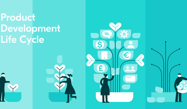 چرخه حیات محصول