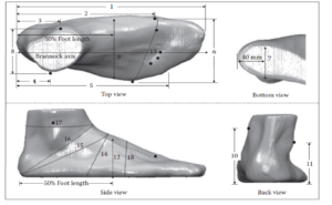یک کفش ارگونومیک چه ویژگی هایی دارد طراحی کفش