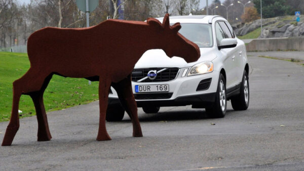 تست گوزن آسان‌سازان تست گوزن در سنجش خودرو | Moose Test