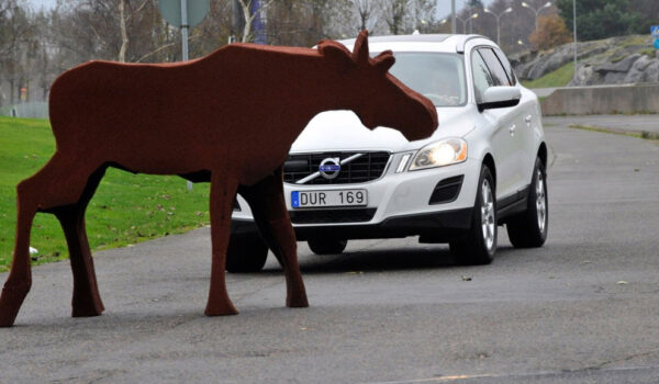 تست گوزن آسان‌سازان تست گوزن در سنجش خودرو | Moose Test