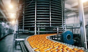 محصولات با بیش از 100 سال سابقه تولید: راز ماندگاری و موفقیت خط تولید آسانسازان محصولات با بیش از 100 سال سابقه تولید: راز ماندگاری و موفقیت