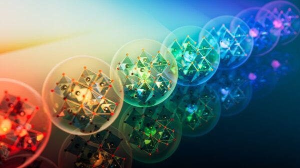 کالکشن چیست؟ مراحل ایجاد یک سبدمحصول کالکشن چیست؟ مراحل ایجاد یک سبدمحصول