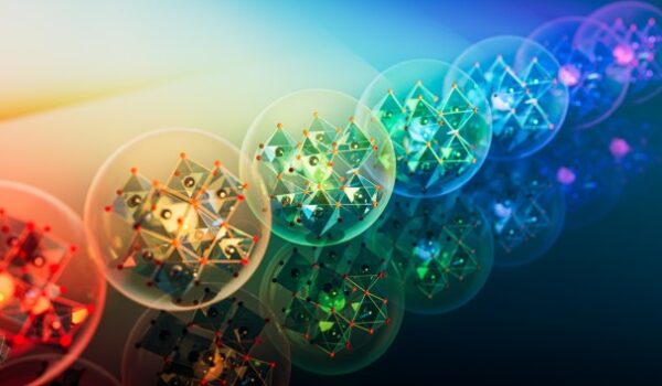 کالکشن چیست؟ مراحل ایجاد یک سبدمحصول