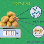 پارادوکس سیب زمینی پارادوکس-سیب-زمینی-حل-مسئله