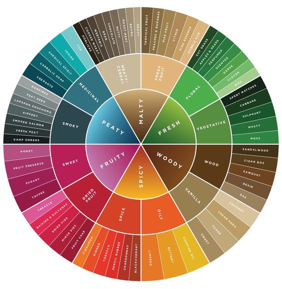 ترکیب رنگ: هنر خلق هارمونی بصری | Color combination چرخه رنگ چیست و چطور از آن استفاده کنیم