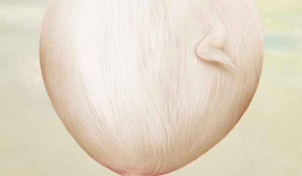 1کمپین تبلیغاتی بیمارستان امارات برای چاقی آسان: باشگاه طراحی و پرورش محصول پوسترهای کمپین تبلیغاتی بیمارستان آستر در امارات