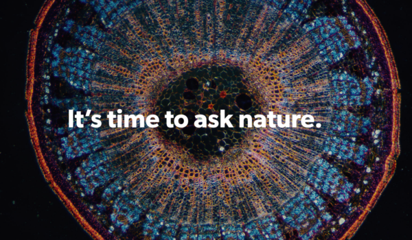 سایت از طبیعت بپرس آسان: باشگاه طراحی و پرورش محصول برای کشف راه‌حل از طبیعت بپرسید | AskNature