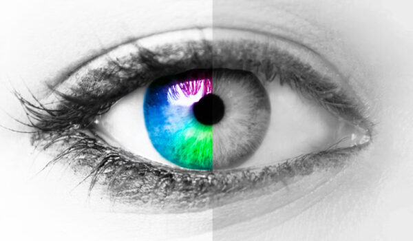 انتخاب رنگ و دسترسی‌پذیری ابزاری کلیدی در تصویرسازی و طراحی