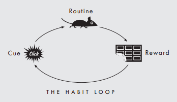 حلقههای عادت و بازیسازی: طراحی برای زمان حلقههای عادت و بازیسازی طراحی برای زمان2 آسانسازان حلقههای عادت و بازیسازی: طراحی برای زمان