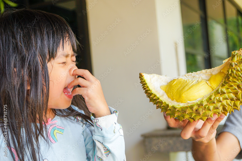 محصولی که همه را خوشحال نمی&zwnj;کند! میوه دوریان