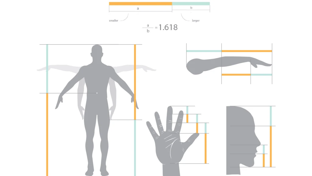 5 نظریه ریاضی که در طراحی محصول به کمکت میاد golden-ratio-نسبت طلایی