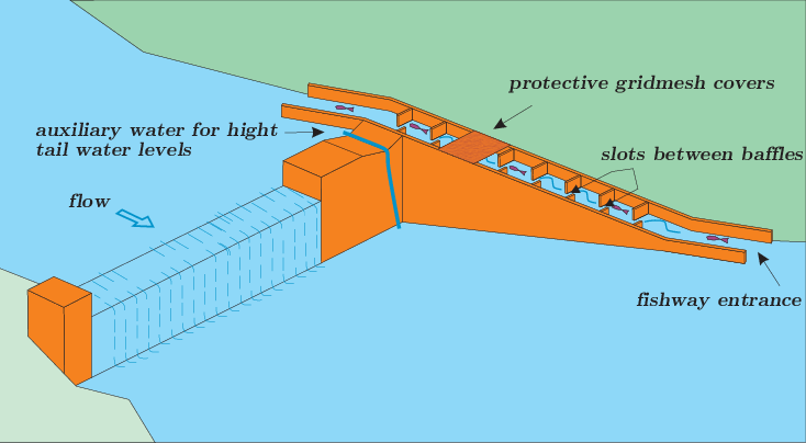 6️⃣ نردبان‌های مخصوص ماهی‌ها Fish Ladders 🐟 آسان: باشگاه طراحی و پرورش محصول همزیستی انسان و حیوانات در طراحی شهری: نوآوری‌هایی برای یک زندگی پایدار