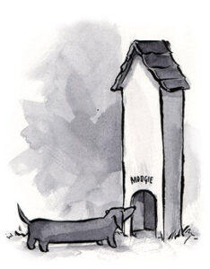 طراحی برای اقلیتها (Edge Cases): وقتی کاربر، کاربر معمولی نیست avoid edge cases کاربر خاص سگ آسان: باشگاه طراحی و پرورش محصول طراحی برای اقلیتها (Edge Cases): وقتی کاربر، کاربر معمولی نیست