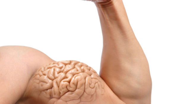 طراحی با کمک حافظه عضلانی Muscle Memory