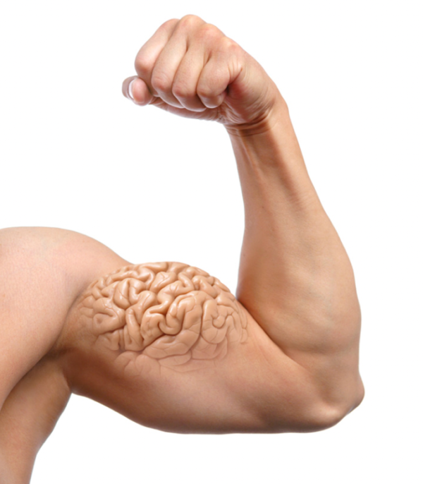 طراحی با کمک حافظه عضلانی: رابط کاربری خودران | Muscle Memory طراحی با کمک حافظه عضلانی Muscle Memory