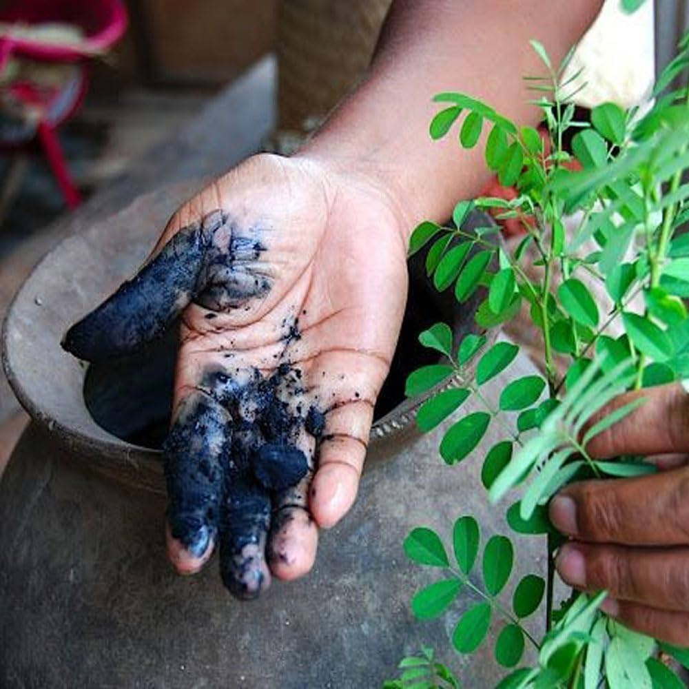 کدرنگ‌های طبیعی پالت‌های رنگی الهام‌گرفته از طبیعت Indigofera2 آسان: باشگاه طراحی و پرورش محصول پالت‌های رنگ طبیعی: زبانی که طبیعت به طراحی می‌آموزد +کدرنگ 🎨🌿🌊🔥