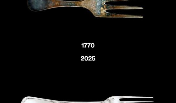 طراحی محصول آیکونیک 1 آسان: باشگاه طراحی و پرورش محصول سکون و تکامل در طراحی محصول